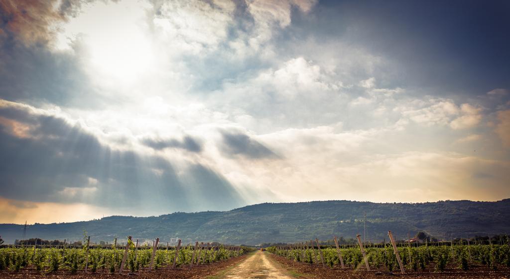 Agriturismo Corte Moranda Верона Екстер'єр фото